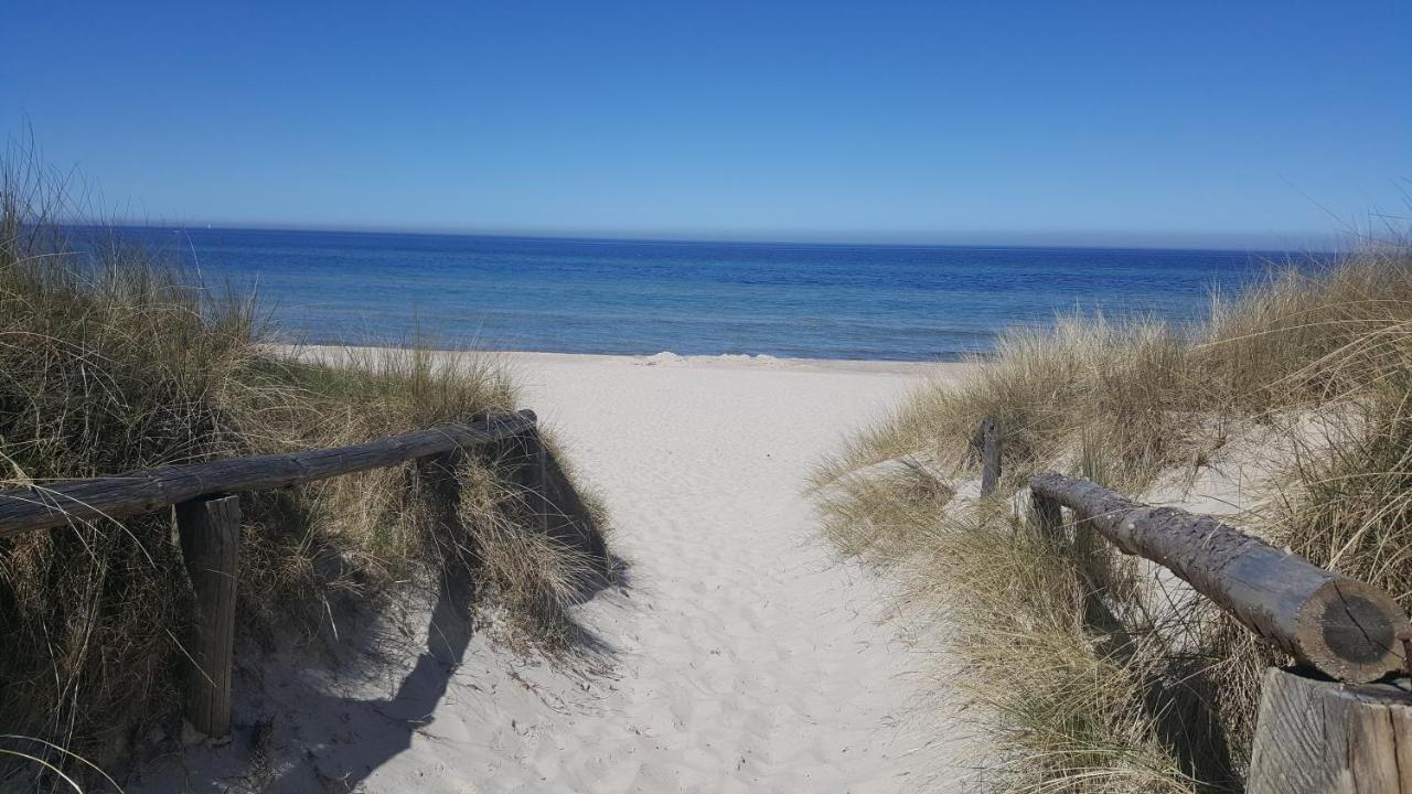Urlaub Auf Der Insel Ruegen Apartment Берген на Рюген Екстериор снимка