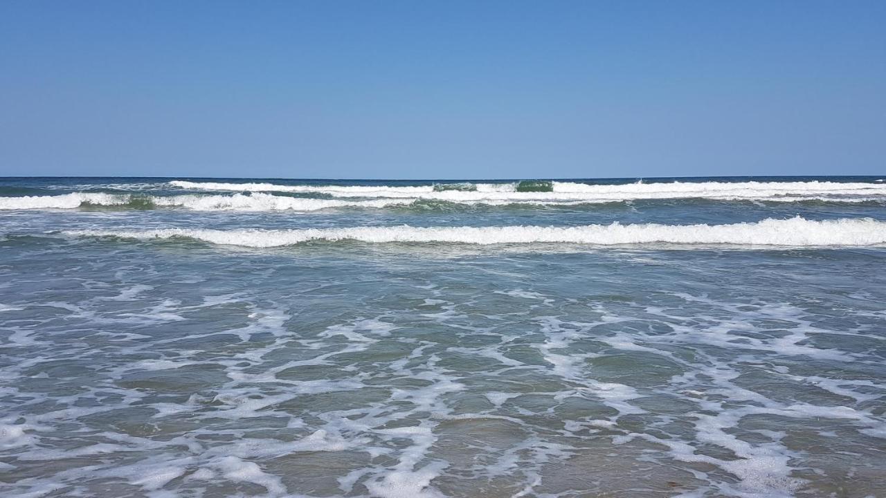 Urlaub Auf Der Insel Ruegen Apartment Берген на Рюген Екстериор снимка