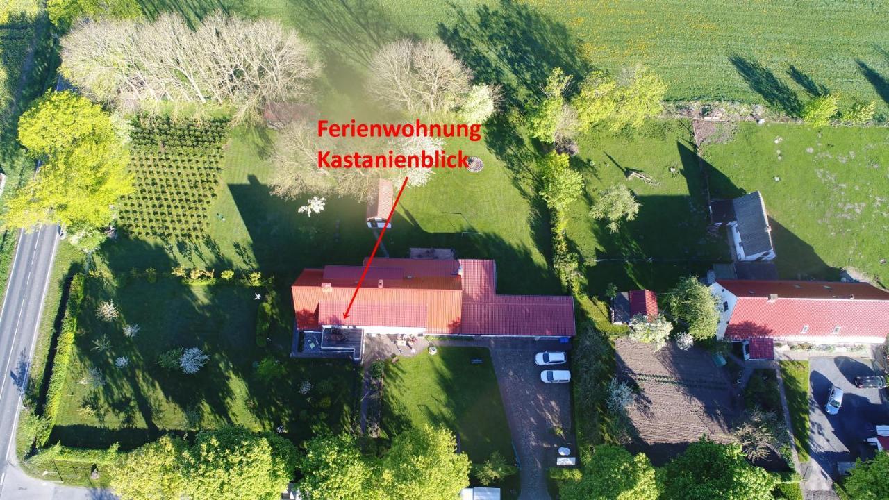 Urlaub Auf Der Insel Ruegen Apartment Берген на Рюген Стая снимка