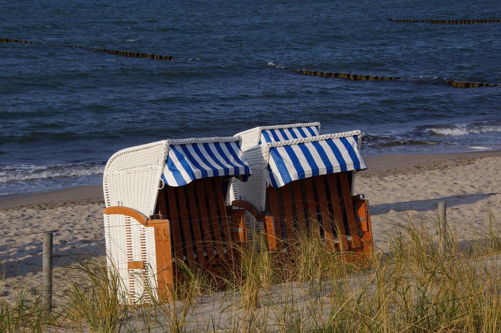 Urlaub Auf Der Insel Ruegen Apartment Берген на Рюген Екстериор снимка