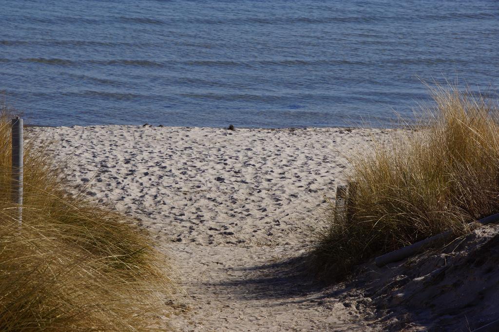 Urlaub Auf Der Insel Ruegen Apartment Берген на Рюген Екстериор снимка